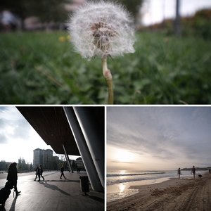 Laowa 10mm F4 Cookie