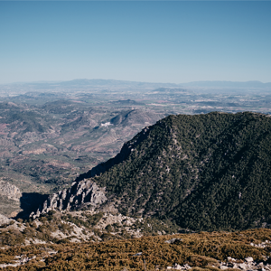 Captura de pantalla 2023-04-18 a las 10.52.29.png