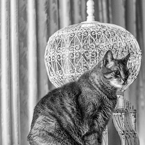 DSCF2533-Editar.jpg