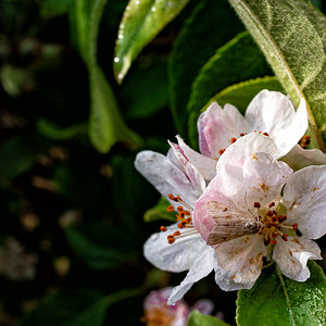 R0000817-Editar.jpg