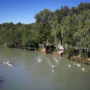 IMG_20230501_111313.jpg