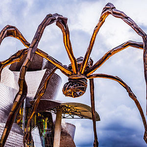 Museo Guggenheim