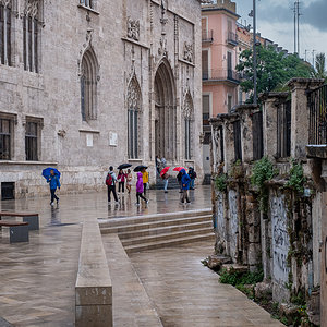 DSCF3046.jpg