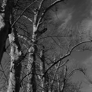 DSCF6013.jpg