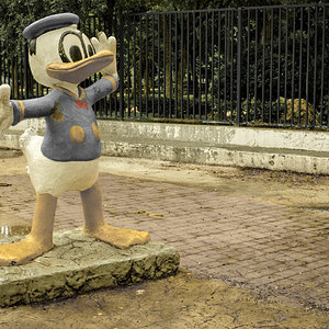 DSCF7015.jpg