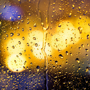 Lights in the rain