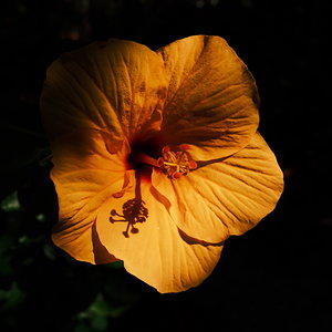 DSCF4543.JPG