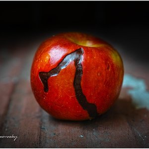 Harry Potter manzana.jpg