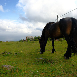 DSCF0466_s.jpg