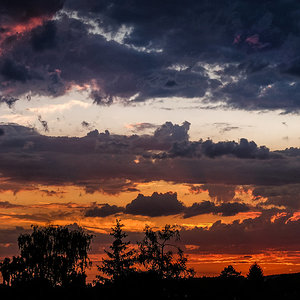 DSCF3918-1.jpg