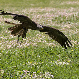 _X303949[PS][2048px].jpg