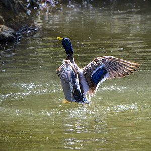 _X303862[NC][2048px].jpg