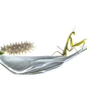 _KKY6788-Mejorado-NR.jpg