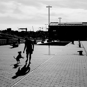 DSCF7433 2.jpg