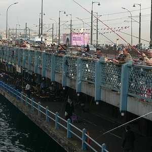 L1080022.JPG