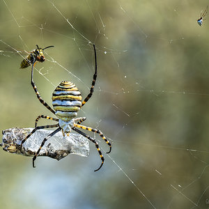 _KKY9198-Mejorado-NR.jpg