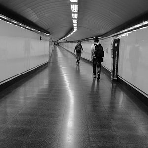 DSCF7455.jpg