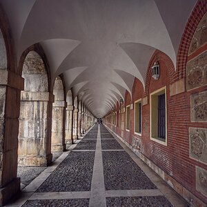 DSC_1289.JPG
