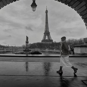 IMG_1217.jpeg