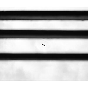 fotografo-estructura-pergola-madera-gaviota-blanco-negro.JPG