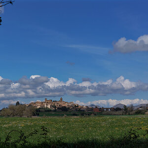 20250318-DSCF4389.jpg