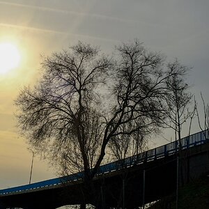 DSCF8835.jpg