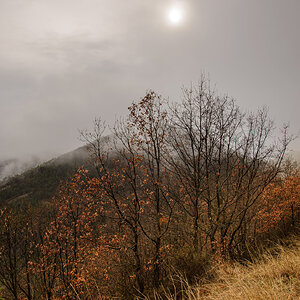 D61_6120.jpg