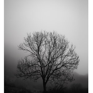 D61_6078-Editar.jpg
