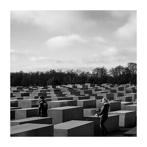 fotografo-berlin-monumento-holocausto-bloques-hormigon-arboleda-blanco-negro.jpg