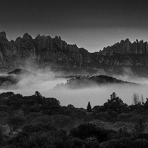 Imagen-009-Mejorado-NRF.jpg