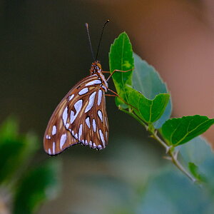 DSCF9707.JPG