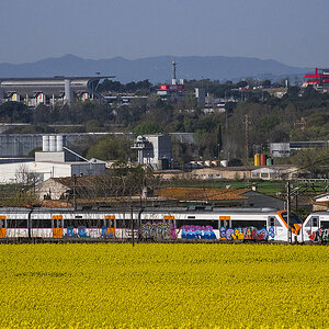 023-2w.jpg
