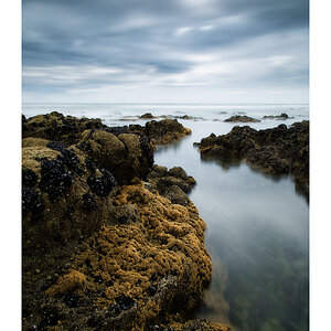 IMG_1895_frame.jpg