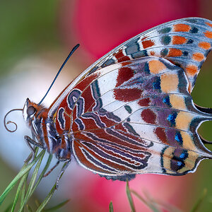 _DSF6588-Mejorado-NRF.jpg