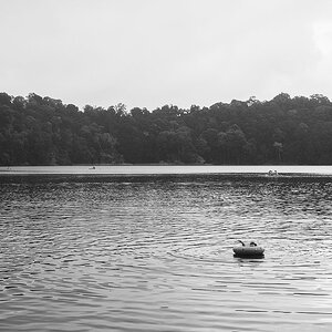 DSCF1186.jpg