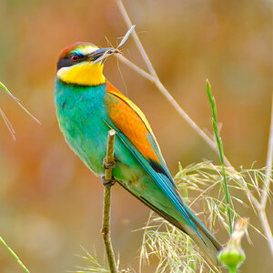 _DSF8552-Mejorado-NR.jpg