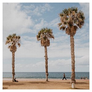 fotografo-gran-canaria-personas-palmeras-cielo-nubes.JPG