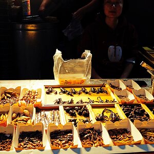 250511 de paseos por Changchun - China 176_1.jpg