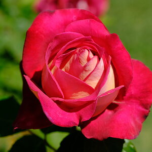 DSCF4797.JPG
