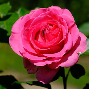 DSCF4785.JPG
