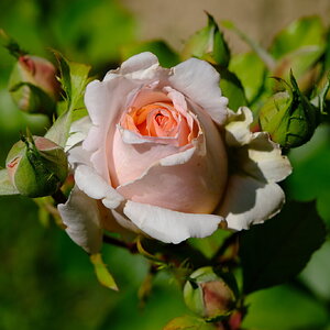 DSCF4671.JPG