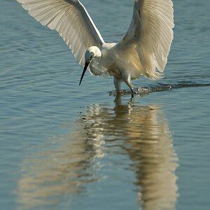 IMG_7819.jpeg
