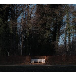 fotografo-berlin-alemania-park-sanssouci-banco-madera-blanco-arboleda.jpg