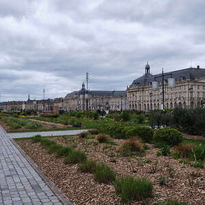 250321 BORDEAUX (21).jpg