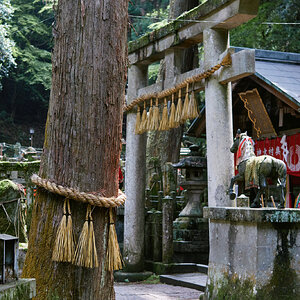 DSCF8480.jpg
