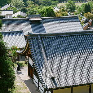 DSCF8617.jpg