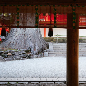 DSCF8643.jpg