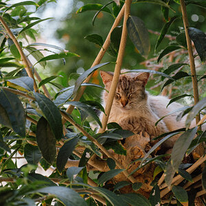 DSCF2239.jpg