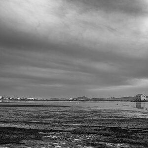 20210530_JEI0054-Mejorado-NRbnw.jpg