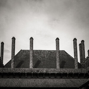 IMG_2475.jpg
